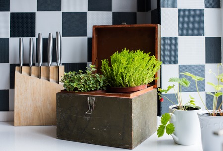 Kitchen utensils, decor and kitchenware in the modern kitchen interior close-up. Home plants on a windowsill.の写真素材