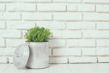 Green home plant near the white brick wall on the floor, rustic home interior decor with copy space