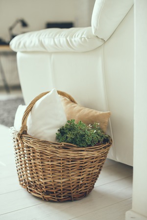 Wicker basket with pillows and green home plant on a floor by the sofa, modern home interior decorの写真素材