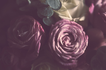 Elegant bouquet of pink and white roses on a dark background, soft focus, close-up. Romantic hipster...