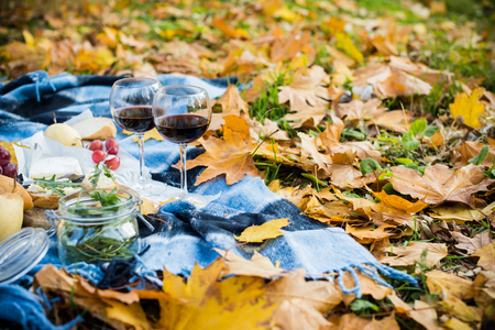 A cozy autumn picnic in the park: fresh bread and cheese, fruit and wine on warm plaid in yellow autumn leaves. Food for dinner outdoors.の写真素材