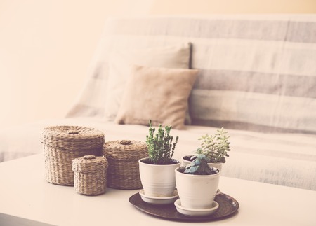 Cozy vintage home decoration: green plants and decorative wicker boxes on a table by the sofa with pillows, living room interior.の写真素材