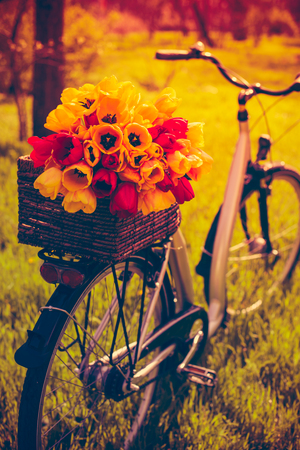 City bicycle with a bouquet of flowers in a basket standing in the grass in the spring parkの写真素材