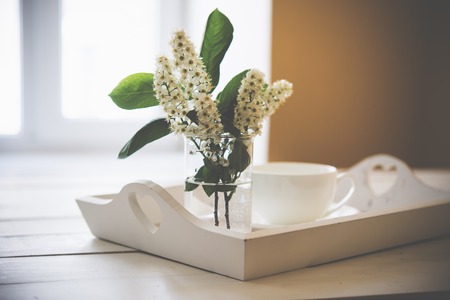 Flowering bird cherry tree branch in a glass of water and a cup on a tray, white seasonal rustic table decorの写真素材