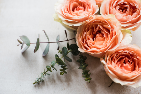 Orange roses and decorative branches on white textureの写真素材