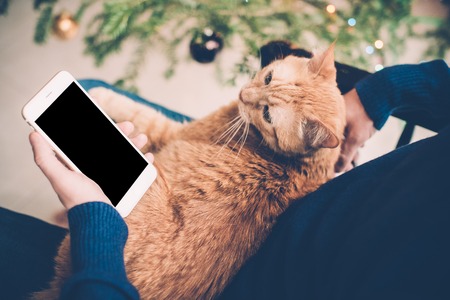 Young man relaxing at home with ginger cat and smartphone in his hand, cozy holiday evening, smartphone screen mock-up.の写真素材