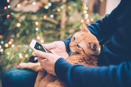 Young man relaxing at home with ginger cat and smartphone in his hand, cozy holiday warm hygge eveningの写真素材