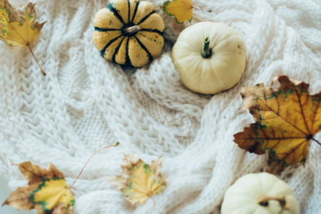 Autumn leaves and small decorative pumpkins on warm cozy knit swの写真素材