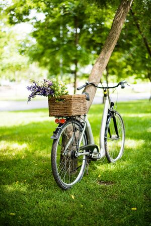 New city bicycle with bouquet of flowers in wicker basketの写真素材