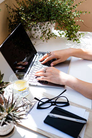 Womans hands on laptop keyboard, cozy workplace