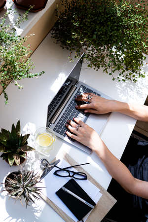 Womans hands on laptop keyboard, cozy workplace