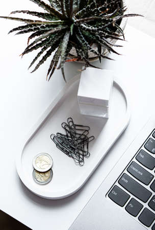 Real workspace close-up shot, tabletop with succulents, laptop keyboard