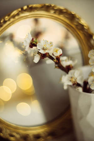 Blooming apricot tree branches in cup and burning candle in front of mirrorの写真素材
