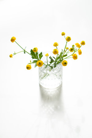 Small yellow buttercups flowers in glass vaseの写真素材