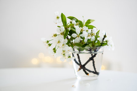 Spring background, white cherry blossoms in glass with bockehの写真素材
