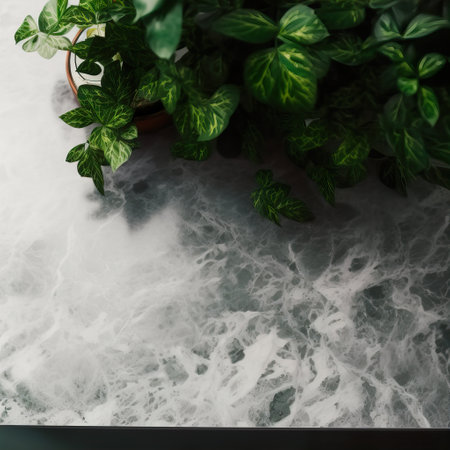 Empty table background with green leaves, botanical product placement backgroundの素材