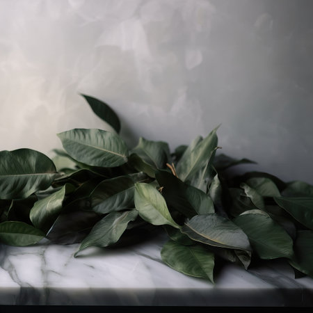 Empty table background with green leaves, botanical product placement backgroundの素材
