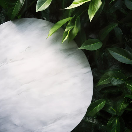 Round empty table background with green leaves, botanical product placement backgroundの素材