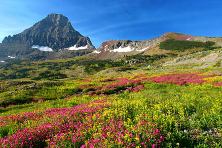 Hidden Lake Trail, Logan Pass, Glacier National Park, Montana, USAの写真素材
