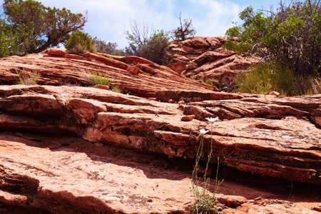 Red Desert, Arches National Park, Utah, USAの写真素材