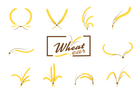 Wheat ears or rice icons set. Agricultural symbols isolated on white background. Design elements for bread packaging or beer label.のイラスト素材
