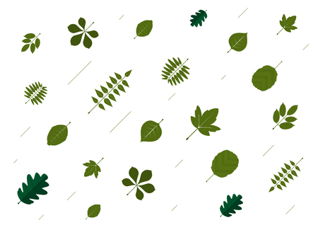Leaf pattern background. green leaf and white background. vector illustration.のイラスト素材