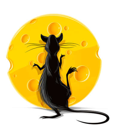 black rat eating yellow cheese isolated on white vector illustrationのイラスト素材