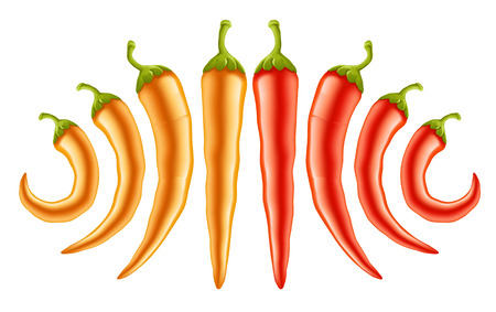 hot red and yellow peppers - vector illustrationのイラスト素材