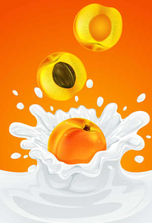 orange apricot fruit falling into the milky splash - vector illustrationのイラスト素材