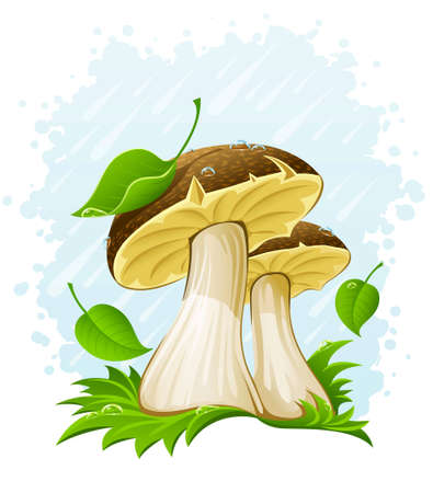 mushrooms with green leaf in grass under the rainのイラスト素材