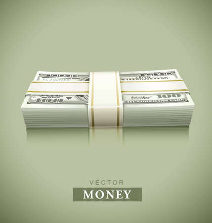 packaged bundle of money dollars illustrationのイラスト素材