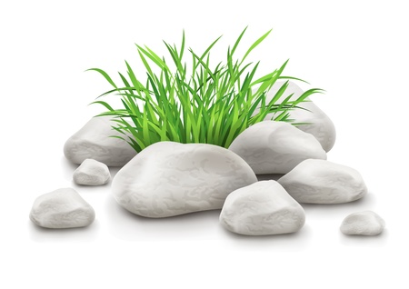 green grass in stones as landscape design element vector illustration isolated on white background EPS10. Transparent objects used for shadows and lights drawing. Gradient mesh used.のイラスト素材
