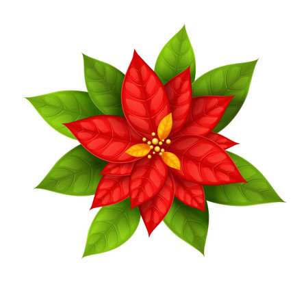 Red Christmas Star flower poinsettia isolated on white background - eps10 vector illustrationのイラスト素材