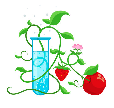 GMO genetically modified foods growing in test-tube. Eps10 vector illustration isolated on white backgroundのイラスト素材