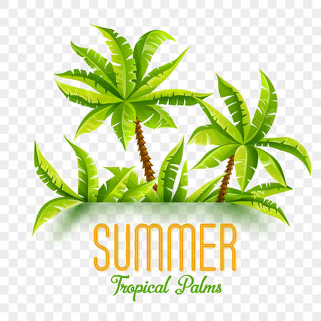 Summer tropic coconut palms in tropic jungle forest. Tropical plants, green leaves. Nature fragment, 3d effect shadows, copyspace, design layout. Travel concept, vector illustration isolated on whiteのイラスト素材