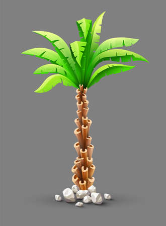 Tropical coconut palm tree plant with green leaves in stones. Nature detail. Vector illustration of coco palm-tree, isolated on gray backgroundのイラスト素材