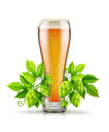 Glass of light lager Beer with white foam and hop plants buds, green leaves.のイラスト素材