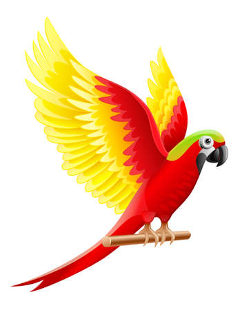 Budgerigar parrot Ara, macaw waving with wings with coloured feathers, sitting on wooden perch, isolated on white background. Eps10 vector illustration.のイラスト素材