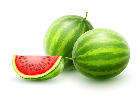 Sweet watermelons. Whole fresh ripe sweet fruit with sliced juicy piece of cut. Watermelon realistic fruits, isolated on white background. EPS10 vector illustration.のイラスト素材