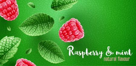 Red raspberry berries. Green mint leaves banner design with copyspace. Ingredients for refreshing drinks like lemonade. Realistic falling leaves of spearmint and raspberries. Vector illustration.のイラスト素材