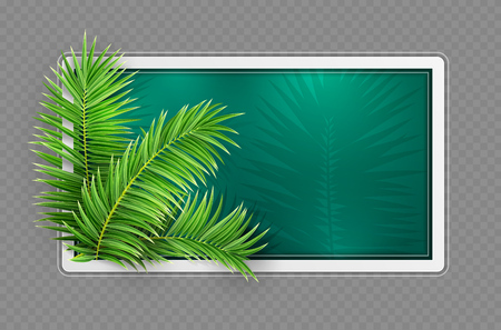 Tropical jungle botanical banner frame. Design layout with green palm tree leaves and place for text. Realistic on gray transparent background. Eps10 vector illustration.のイラスト素材