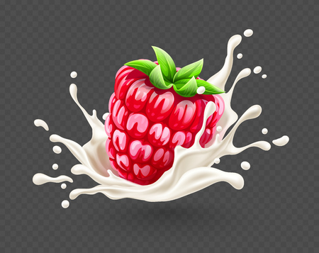 Yoghurt milk splash with ripe red raspberry berry fruit with green leaves, isolated on transparent grid background, dairy drink with spray and drops. Eps10 vector illustration.のイラスト素材