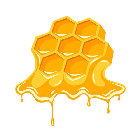Honey flowing of bee honeycombs. Isolated on white background. Illustration.の写真素材
