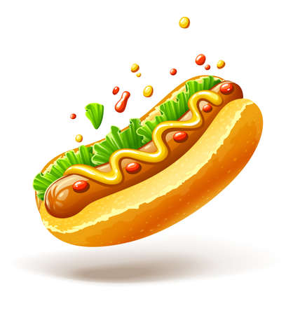 Hot dog with sausage lettuce and mustard drops of ketchup, isolated white background. Fast food. Illustration.の写真素材