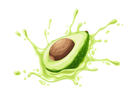 Green fruit avocado with juicy splash. Ripe green vegetable, isolated on white background, Ingredient for Mexican Guacamole sauce. Eps10 vector illustration.のイラスト素材