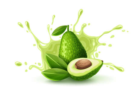 Green fruit avocado with juicy splash. Ripe green vegetable, isolated on white background, Ingredient for Mexican Guacamole sauce. Eps10 vector illustration.のイラスト素材