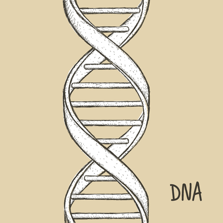 DNA symbol. Hand drawn vector illustration on backgroundのイラスト素材