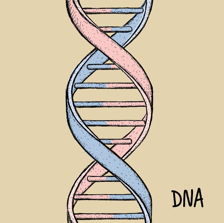 DNA symbol. Hand drawn vector illustration on backgroundのイラスト素材