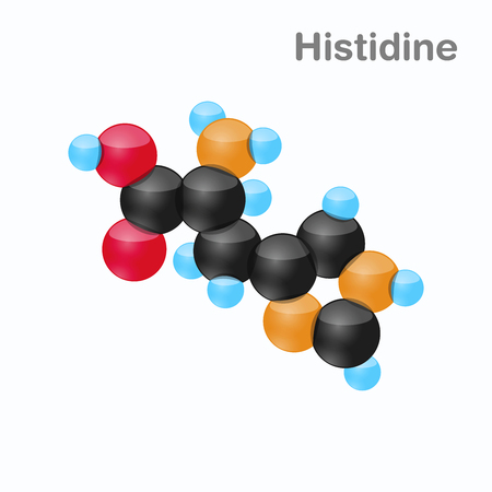 Molecule of Histidine, His, an amino acid used in the biosynthesis of proteinsのイラスト素材