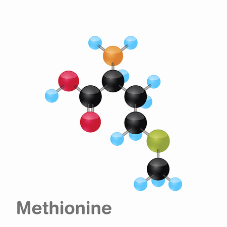 Molecular omposition and structure of Methionine, Met, best for books and educationのイラスト素材